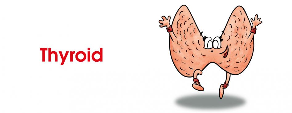 tiroide